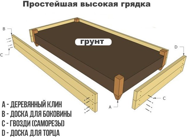 Делаем грядки своими руками с мастерами MolotokMarket.ru: высокие, из шифера, из